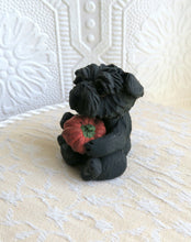Load image into Gallery viewer, Affenpinscher with Pumpkin pod hand sculpted Collectible