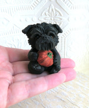 Load image into Gallery viewer, Affenpinscher with Pumpkin pod hand sculpted Collectible