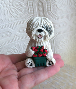 Old English Sheepdog with Summer Strawberries Hand sculpted Collectible