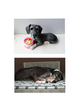 Load image into Gallery viewer, YOUR CUSTOM Dog portrait sculpture in polymer clay - Furever Clay